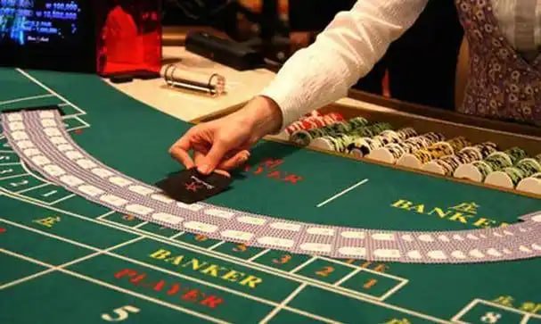 bet317 app
